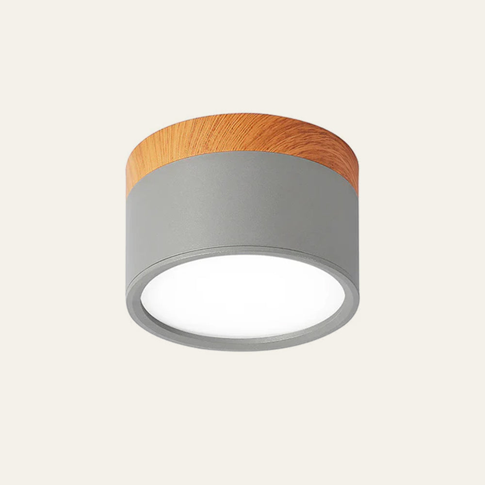 Modern Cylinder LED Flush Ceiling Light – Small Surface Mount Fixture