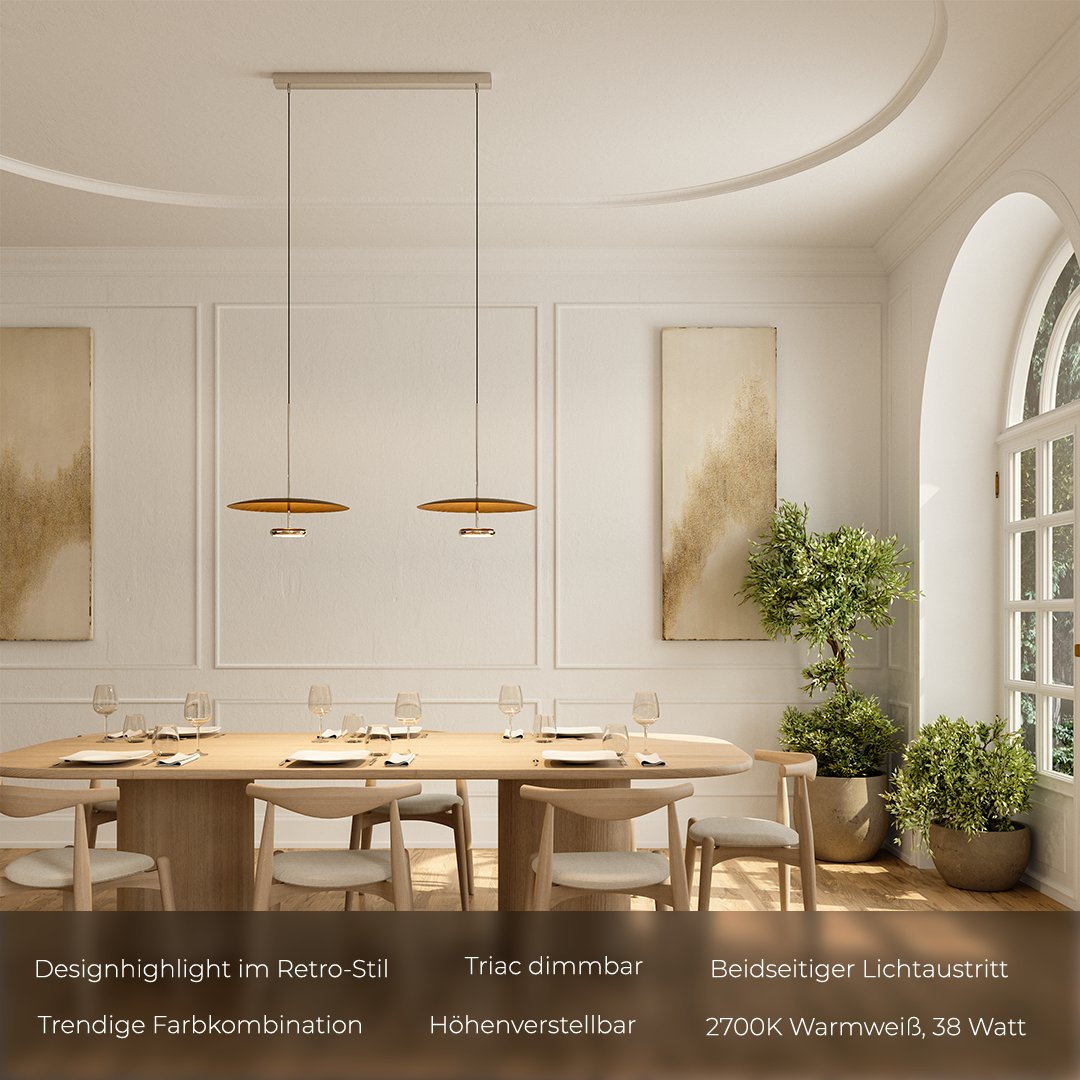 Modern Dual Disc Pendant Light in Walnut or Black Finish